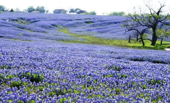 6a023a_e788569cd390432e9d3285911f99ff17~mv2